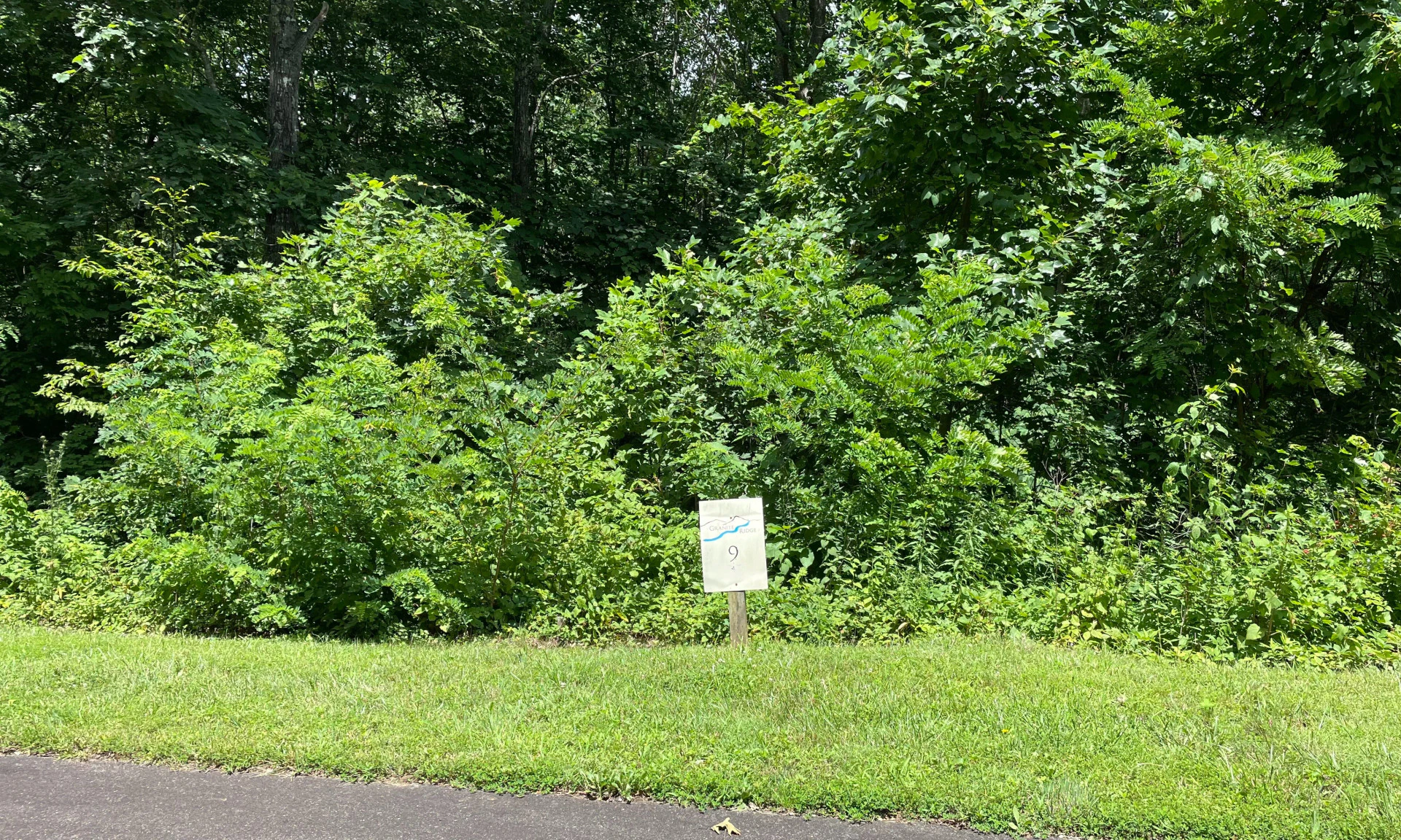 Image number 1 for the current listing